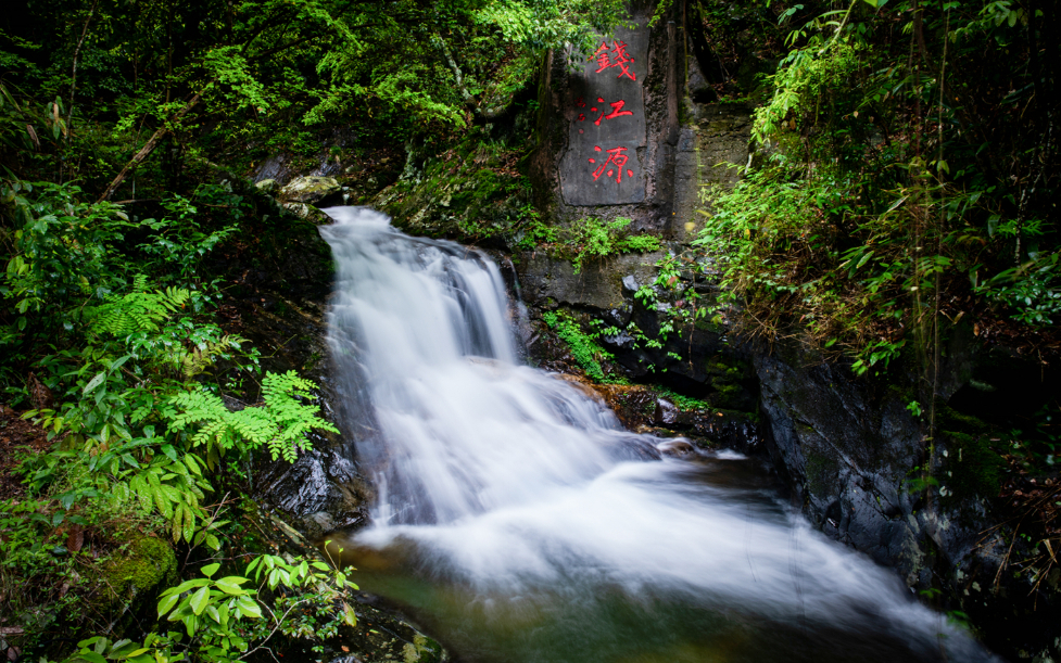 這，就是錢江源-百山祖國(guó)家公園候選區(qū)錢江源園區(qū)