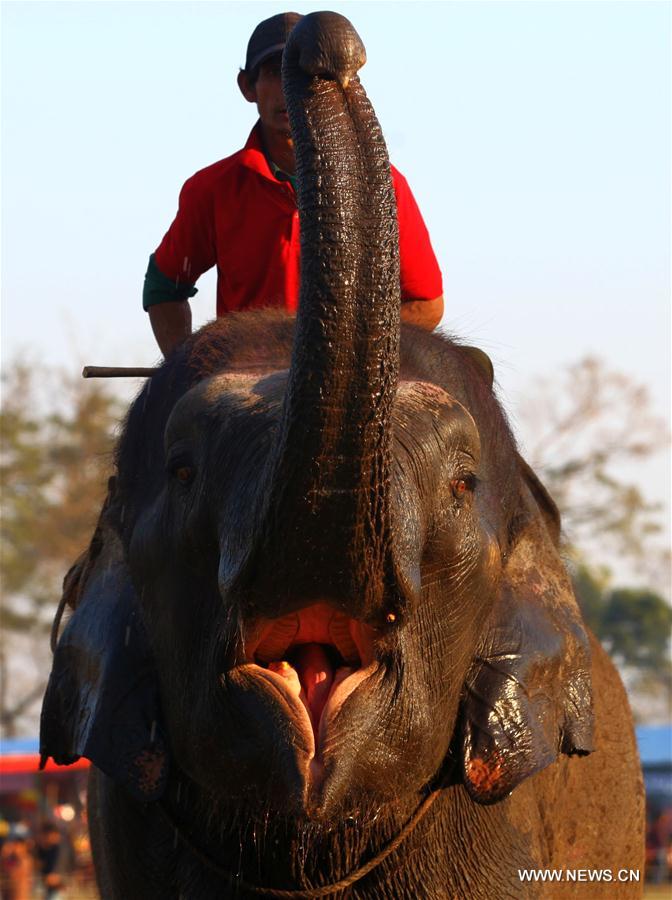 NEPAL-CHITWAN-14TH ELEPHANT FESTIVAL