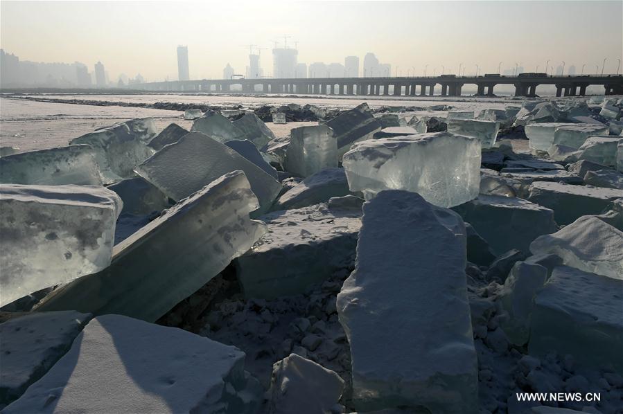 CHINA-HARBIN-ICE CUBE (CN)