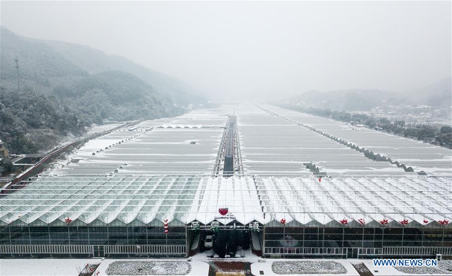 CHINA-ZHEJIANG-STRAWBERRY-TOURIST(CN)