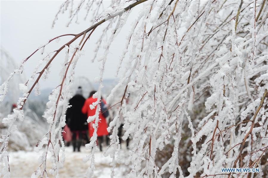 #CHINA-GUIYANG-FROST SCENERY (CN)