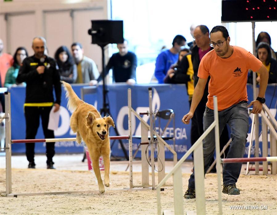 PORTUGAL-LISBON-PET SHOW