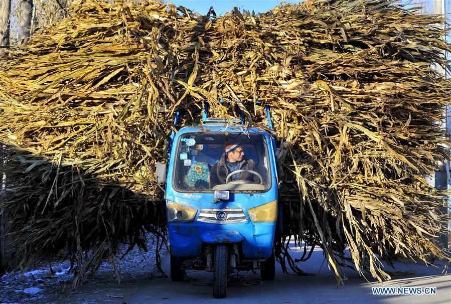 CHINA-XINJIANG-YINING-VILLAGE-DEVELOPMENT (CN)