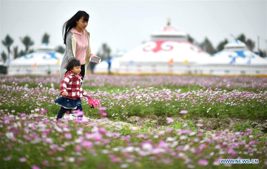 CHINA-HAINAN-FLOWER (CN)