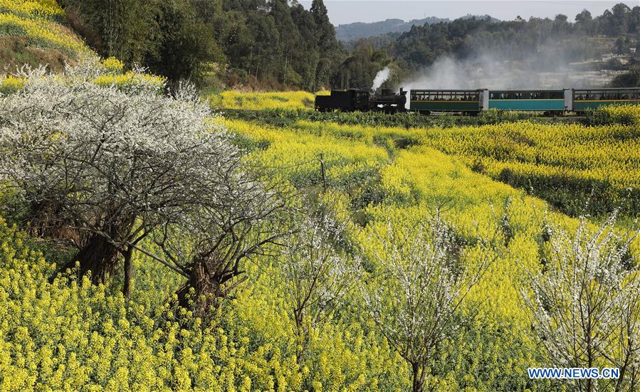 CHINA-SICHUAN-LOCOMOTIVE-TOURISM (CN)