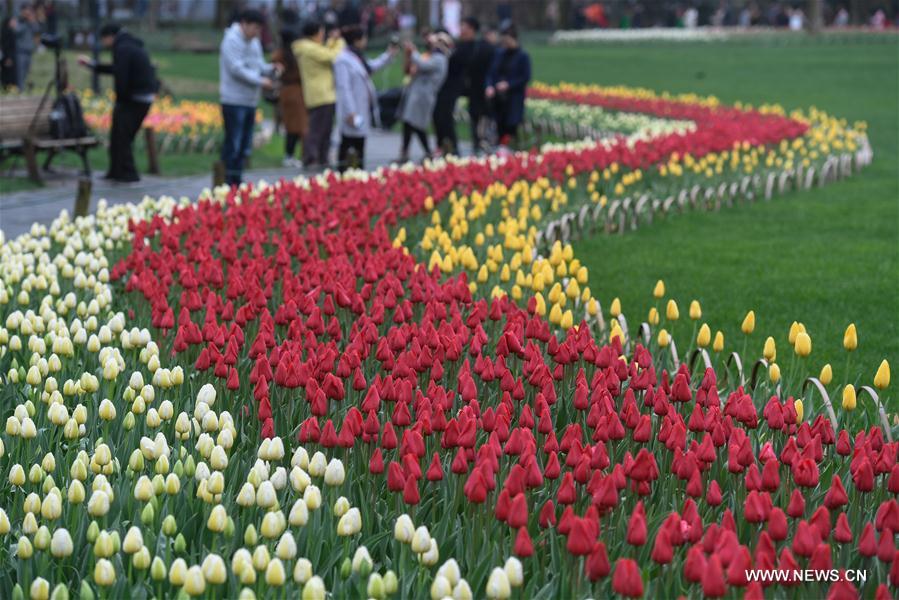 CHINA-HANGZHOU-FLOWERS (CN)