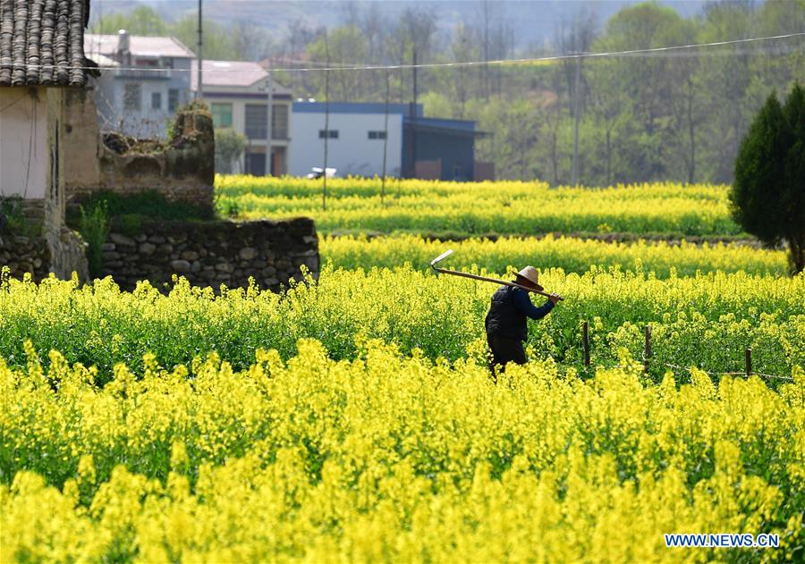 CHINA-SHAANXI-SPRING SCENERY (CN)