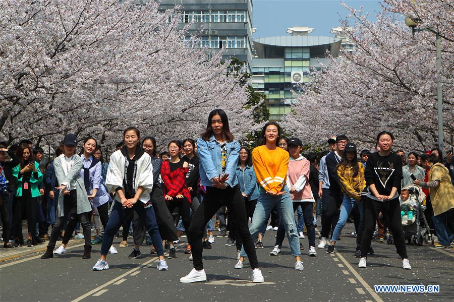 CHINA-SHANGHAI-CAMPUS-CHERRY BLOSSOMS (CN)