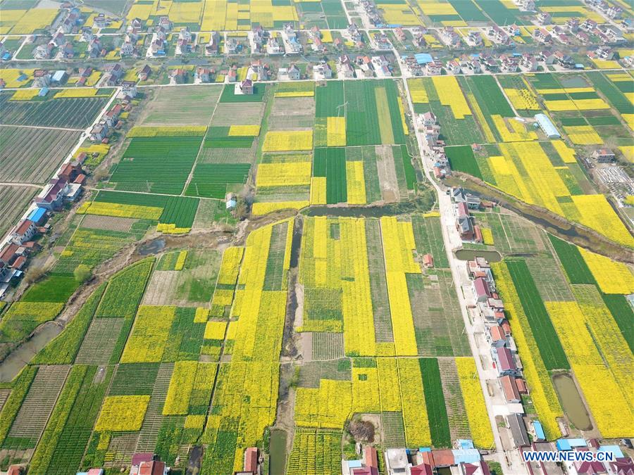 #CHINA-JIANGSU-RURAL SCENERY (CN)