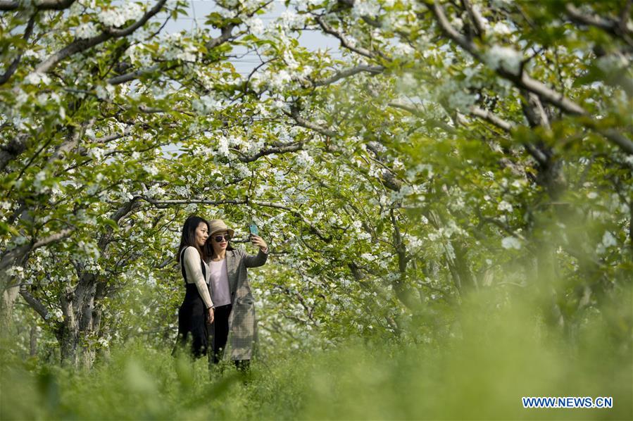 #CHINA-SPRING SCENERY-FLOWERS (CN)