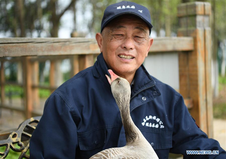 CHINA-JIANGXI-WILD GOOSE-OLD MAN-ATTACHMENT (CN)