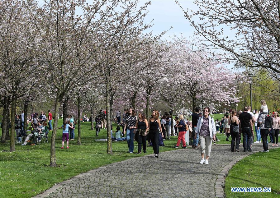 GERMANY-BERLIN-CHERRY BLOSSOM FESTIVAL