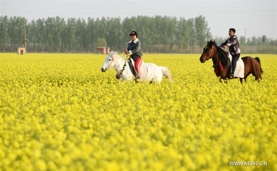 CHINA-HEBEI-SHIJIAZHUANG-SCENERY (CN)