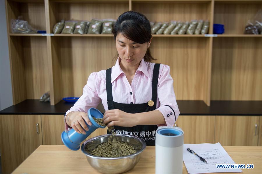 CHINA-YUNNAN-AGRICULTURE-BUSINESS-COFFEE (CN)