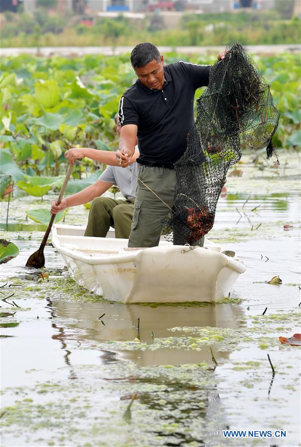 CHINA-NANCHANG-CRAYFISH (CN)