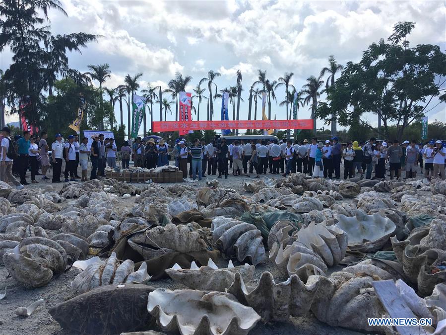 CHINA-SEA TURTLE-PROTECTION ALLIANCE-FOUNDING(CN)