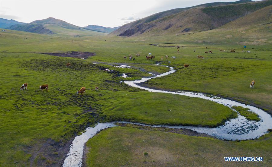 CHINA-INNER MONGOLIA-CHIFENG-GRASSLAND (CN)