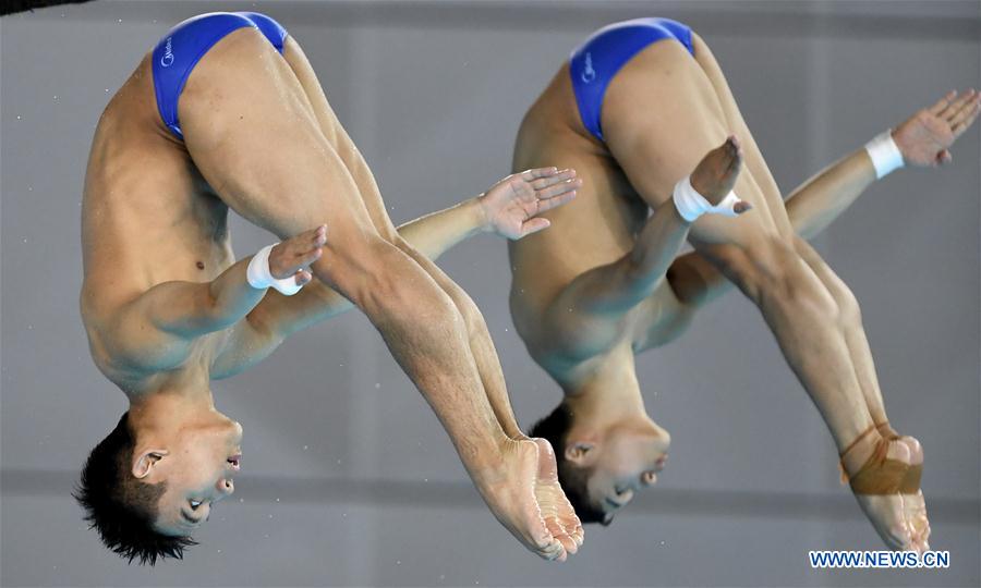 (SP)CHINA-WUHAN-DIVING-FINA-WORLD CUP (CN)