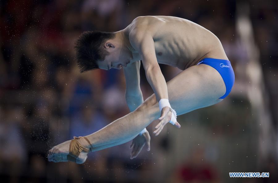 (SP)CHINA-WUHAN-DIVING-FINA-WORLD CUP (CN)