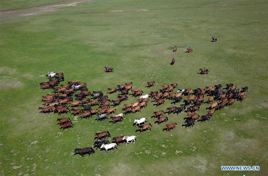 CHINA-GANSU-SHANDAN HORSE RANCH-SCENERY (CN)