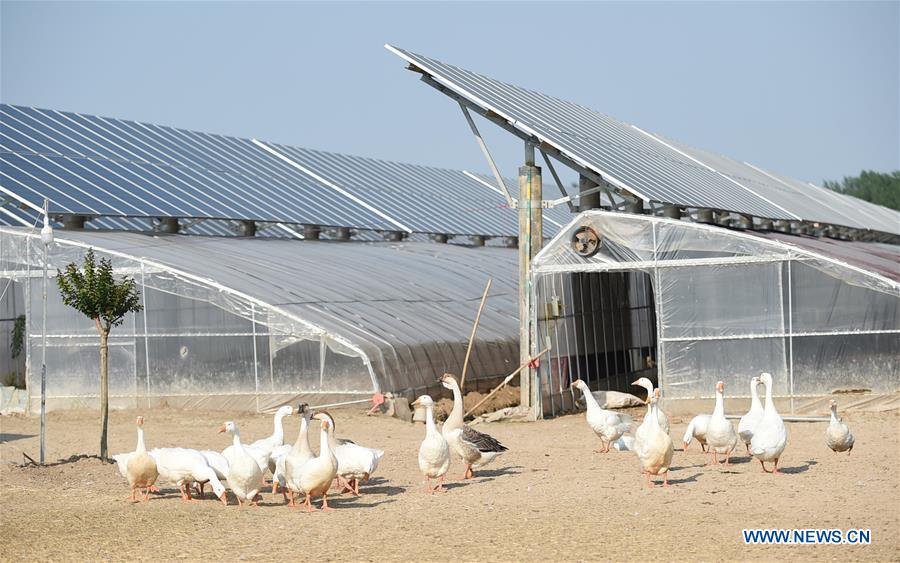 CHINA-JIANGSU-PV POWER STATIONS (CN) 