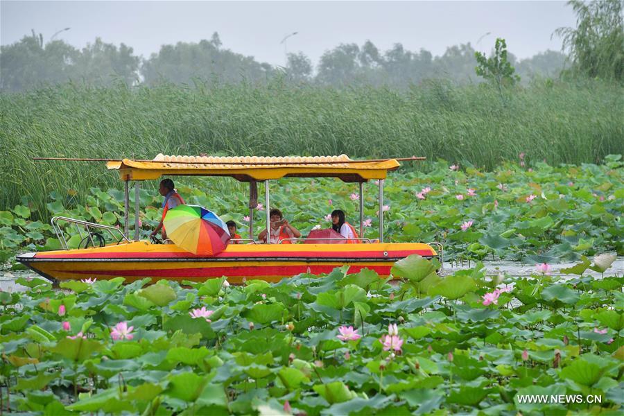 CHINA-ZHENGZHOU-LOTUS(CN)