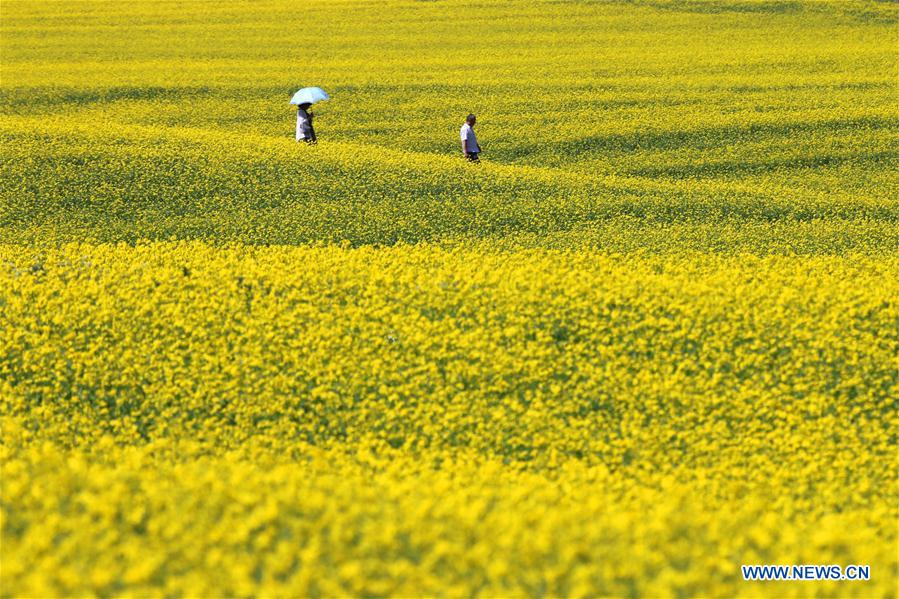 #CHINA-SUMMER-NATURE (CN)