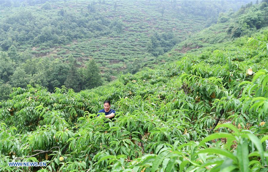 CHINA-CHONGQING-WULONG-POVERTY ALLEVIATION (CN)