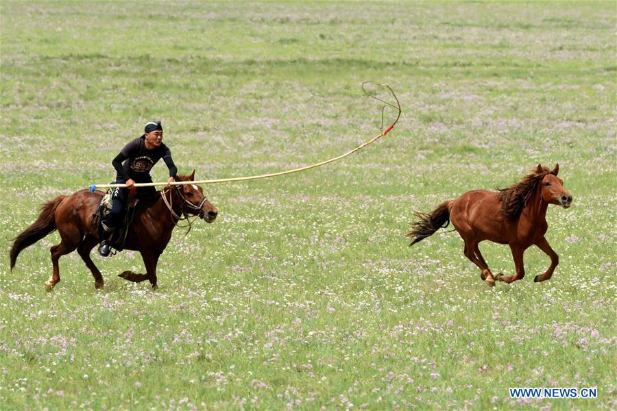 #CHINA-INNER MONGOLIA-TRADITIONAL ACTIVITY (CN)