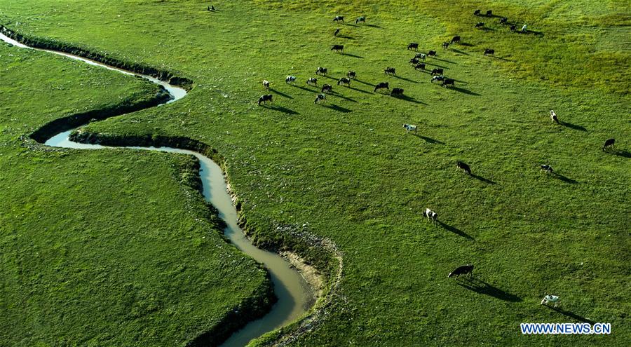 CHINA-SHANXI-HULIUHE WETLAND-SCENERY (CN)