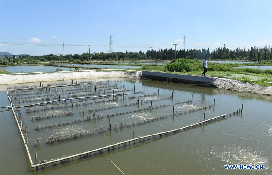 CHINA-ZHEJIANG-AQUACULTURE-WATER PURIFYING (CN)