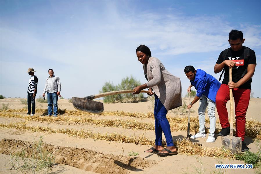 CHINA-GANSU-DESERTIFICATION COMBAT-AFRICAN STUDENT (CN)