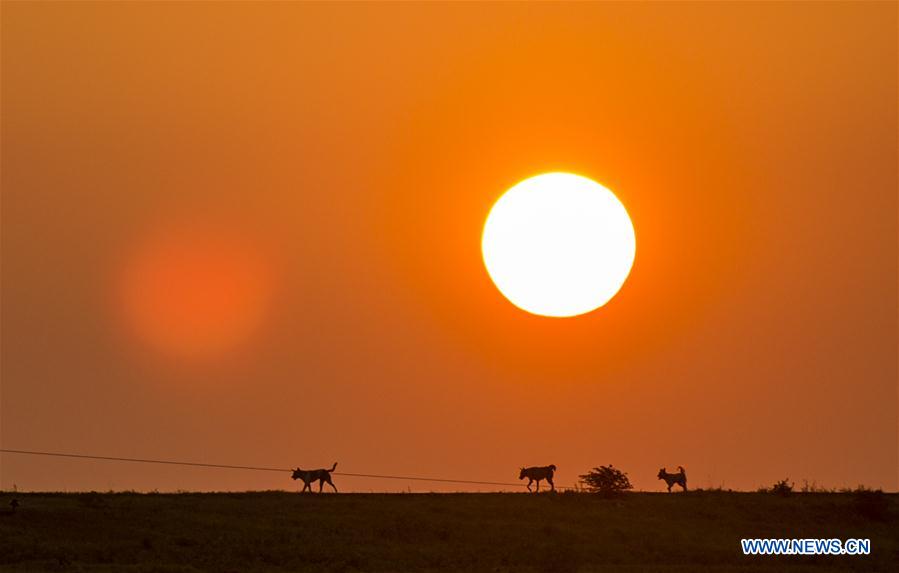 XINHUA PHOTO WEEKLY CHOICES