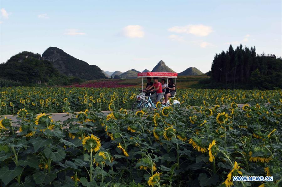 CHINA-YUNNAN-LUOPING-COLORFUL FLOWER FIELDS (CN)