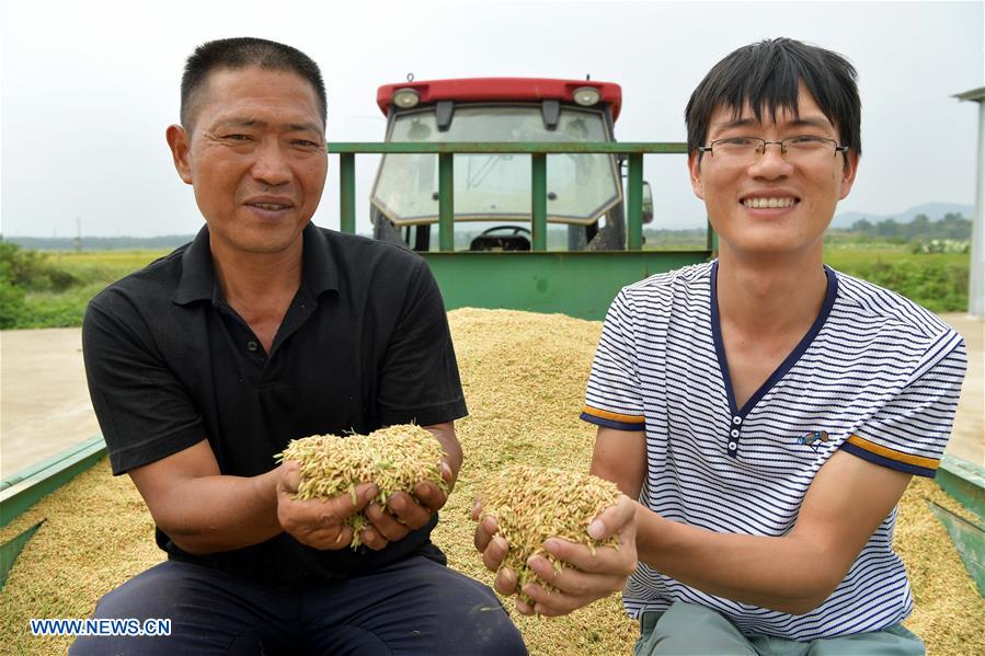 CHINA-JIANGXI-RICE-HARVEST (CN)