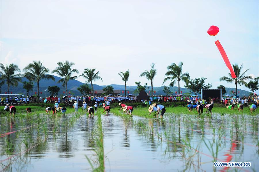 #CHINA-AGRICULTURE-HARVEST-FESTIVAL (CN)