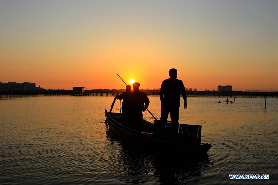 CHINA-JIANGSU-KUNSHAN-HAIRY CRAB CULTIVATOR (CN)