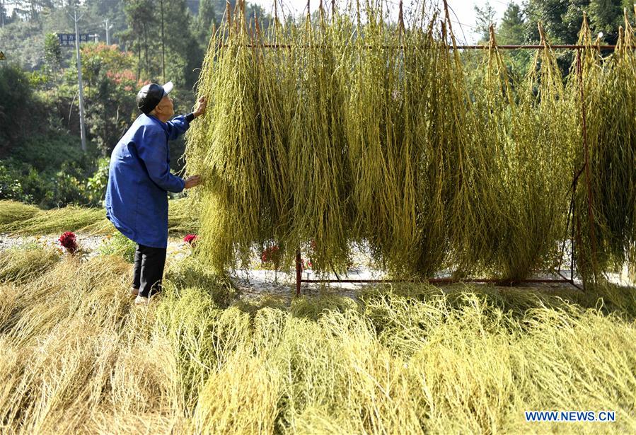 #CHINA-HUBEI-ENSHI-BROOMSTICK-ARTISAN (CN)