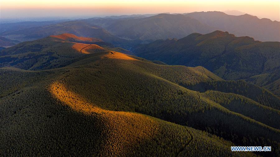 CHINA-SHANXI-QINYUAN-ENVIRONMENT-FOREST (CN)