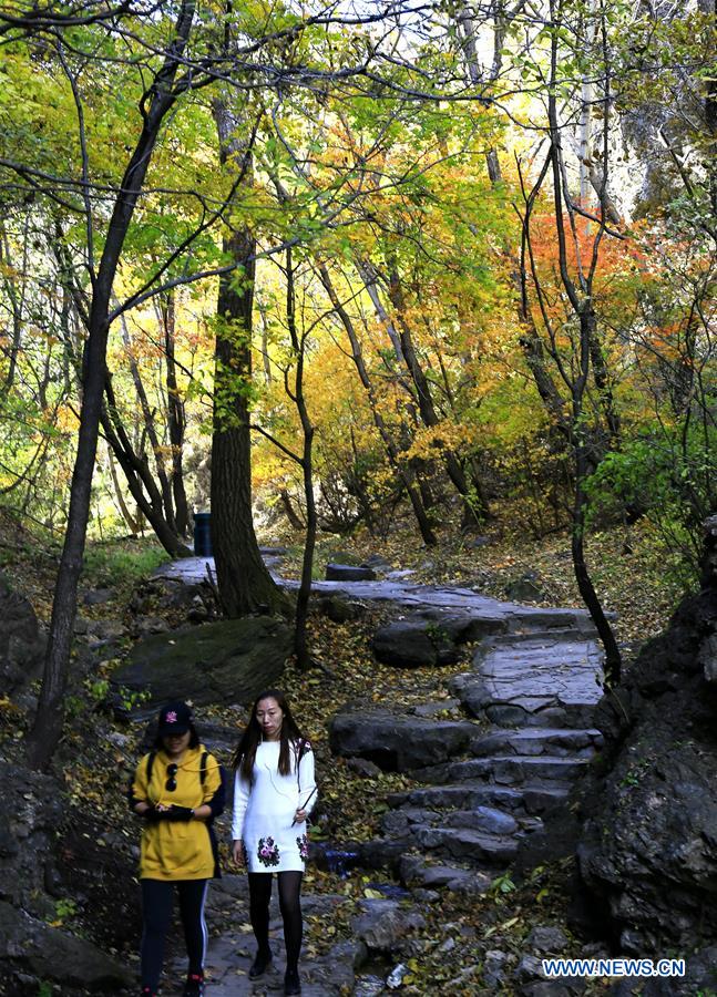 CHINA-BEIJING-AUTUMN-LEISURE (CN)