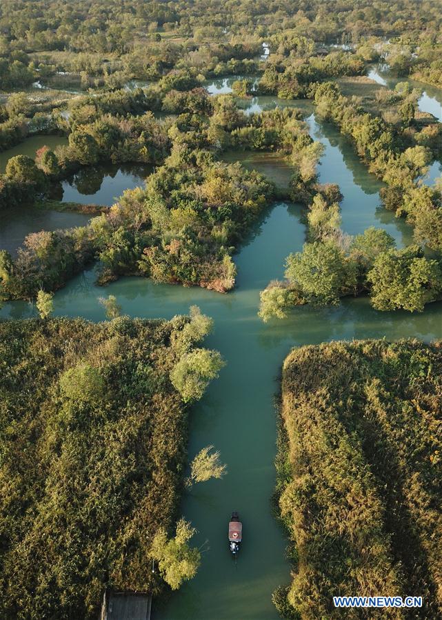 CHINA-HANGZHOU-XIXI WETLAND-AUTUMN SCENERY (CN)