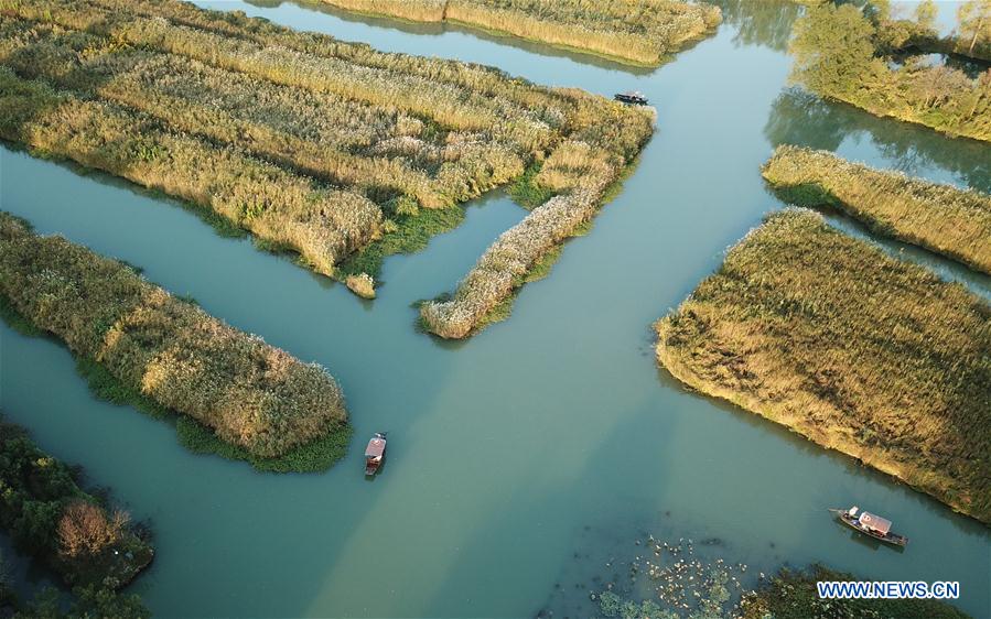 CHINA-HANGZHOU-XIXI WETLAND-AUTUMN SCENERY (CN)