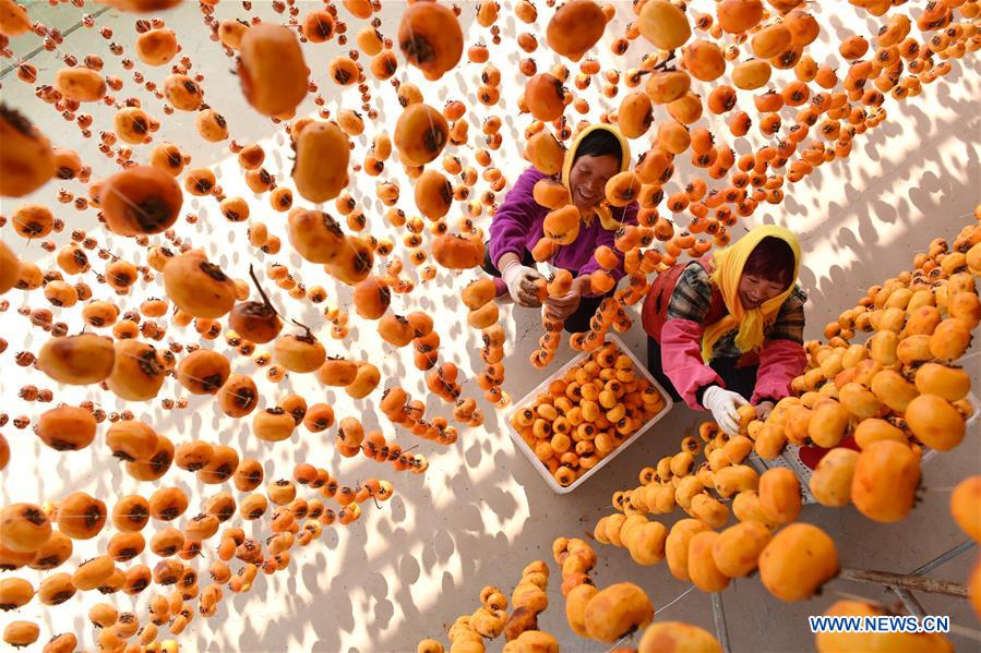 #CHINA-SHANDONG-LINYI-PERSIMMON (CN) 