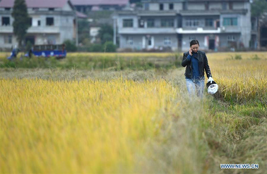 CHINA-JIANGXI-NANCHANG-CHARACTER STORY IN AGRICULTURE (CN)