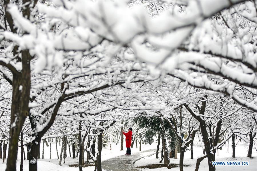 CHINA-GANSU-PINGLIANG-SNOWFALL (CN)