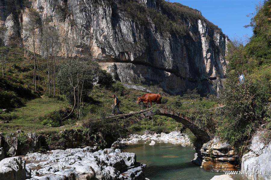 CHINA-GUIZHOU-BIJIE-ROAD (CN)