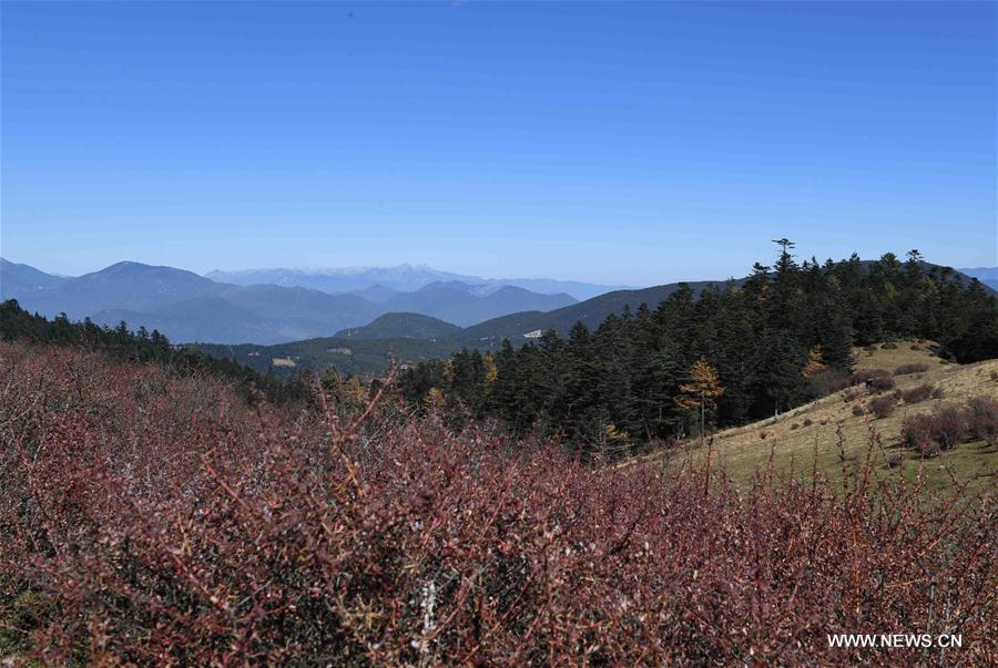 CHINA-LIJIANG-YULONG-SCENERY(CN)