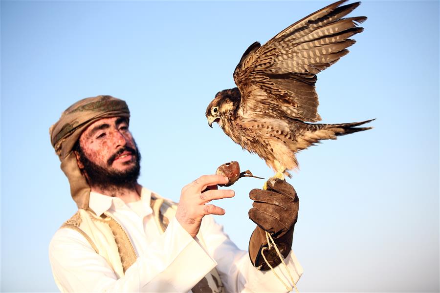 EGYPT-ALEXANDRIA-WORLD FALCONRY DAY-FALCONERS