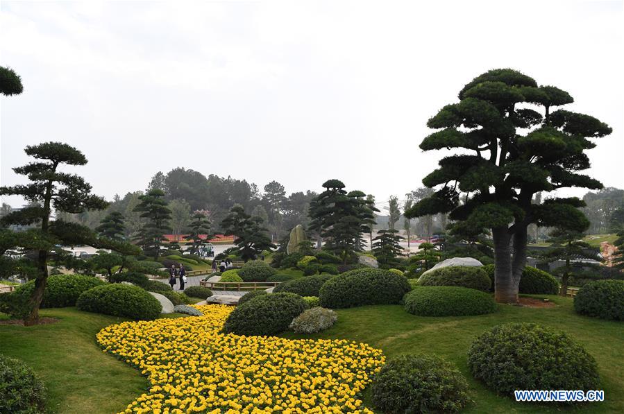 CHINA-GUANGXI-INT'L GARDEN EXPO (CN)