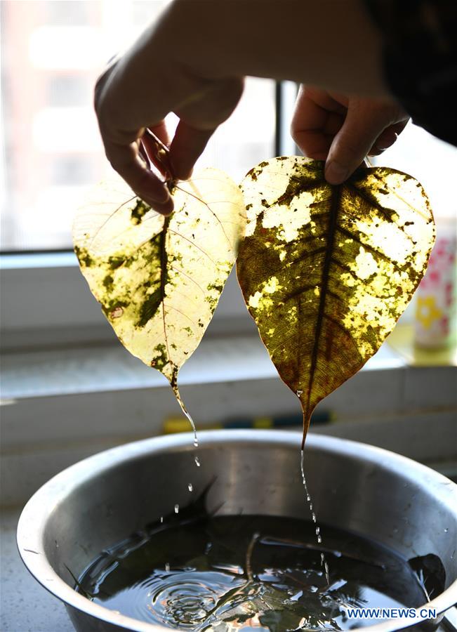 #CHINA-HEBEI-SHIJIAZHUANG-LEAF CARVING (CN)